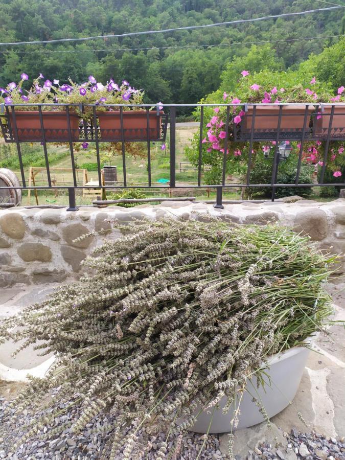 Il Mulino Di Celle Villa ปิสโตยา ภายนอก รูปภาพ